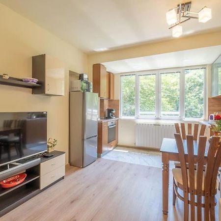 Top Location, Brand New 3 Bdrm Apt & Free Parking 索菲亞 外观 照片