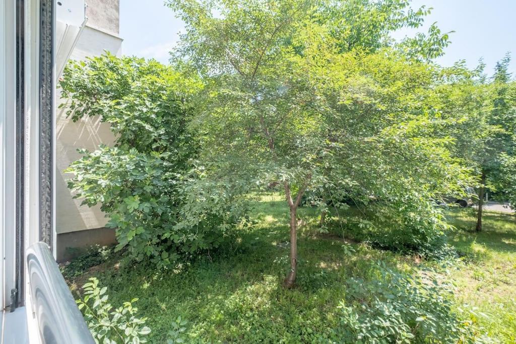 Top Location, Brand New 3 Bdrm Apt & Free Parking 索菲亞 外观 照片