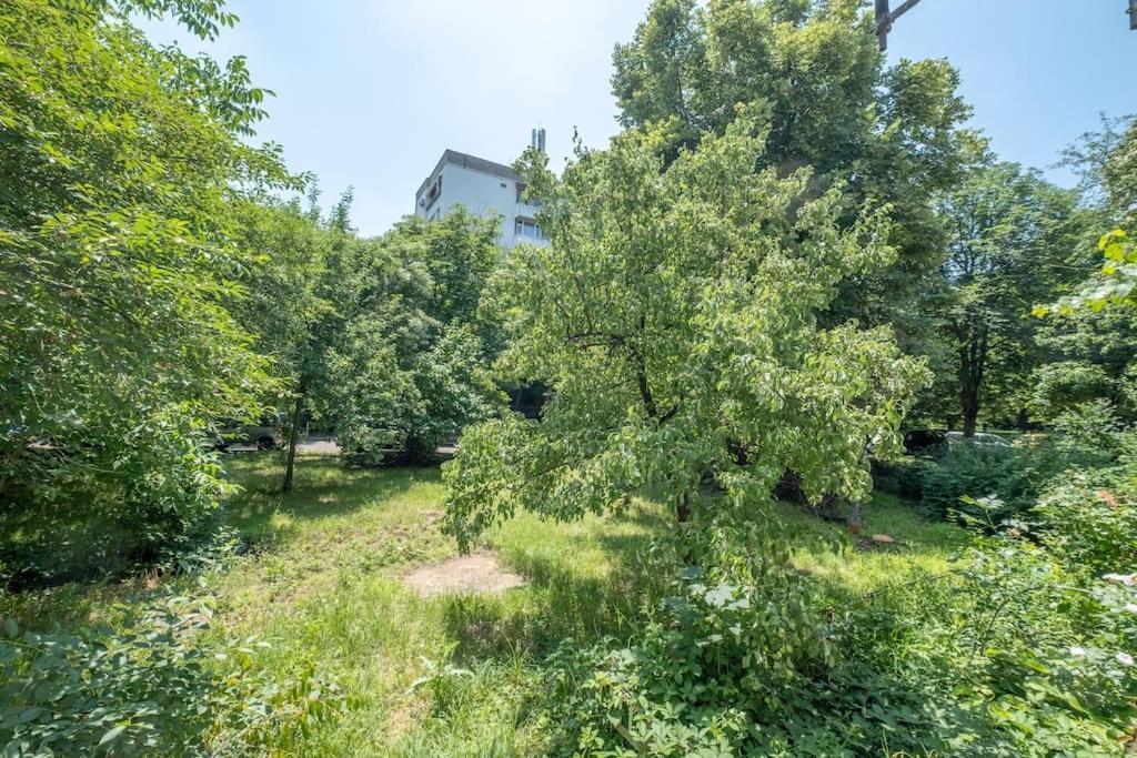 Top Location, Brand New 3 Bdrm Apt & Free Parking 索菲亞 外观 照片
