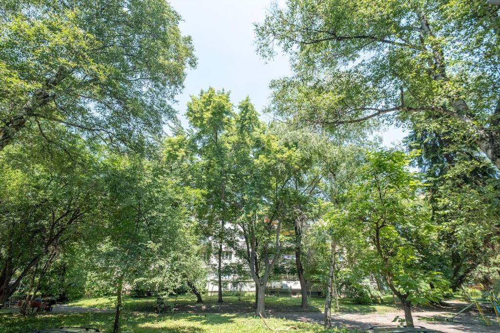 Top Location, Brand New 3 Bdrm Apt & Free Parking 索菲亞 外观 照片